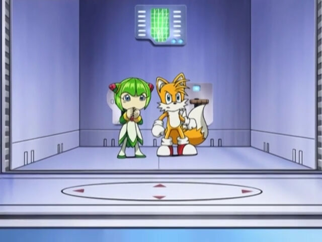 File:AssassinShadow365.jpg