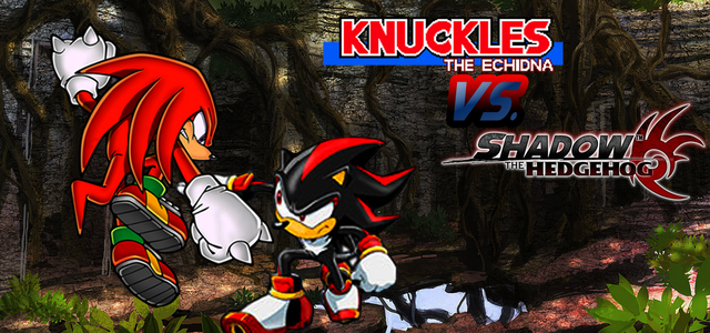 File:Knuckles-v-Shadow.png