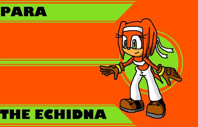 File:Para the Echidna.jpg