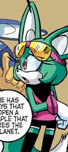 Sonar the Fennec
