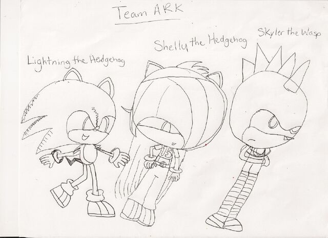 File:Team ARK SH2.jpg