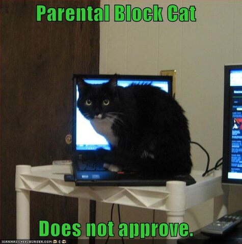 File:Lolcat-funny-picture-parental-block-cat.jpg