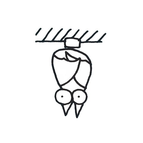 File:Sketch-Bat-Brain-I.png
