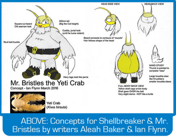 File:BristlesConcept.jpg