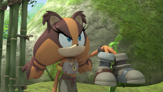 File:Sticks' Shoes.png