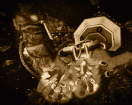 Biolizard retrospekcja.png
