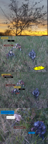 File:Reach Spoof 1.5.png