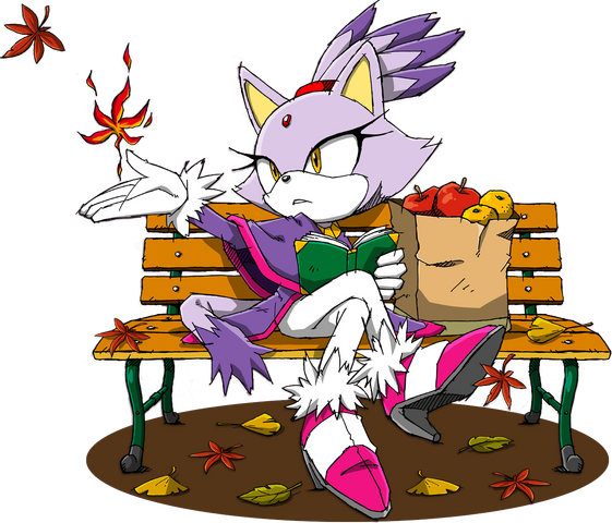 File:Sonic Channel - Blaze the Cat 2013a.png