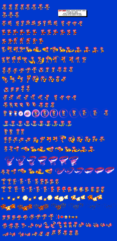 File:AmyBattle.gif