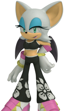 File:Sonic-free-riders---standard-500px.png