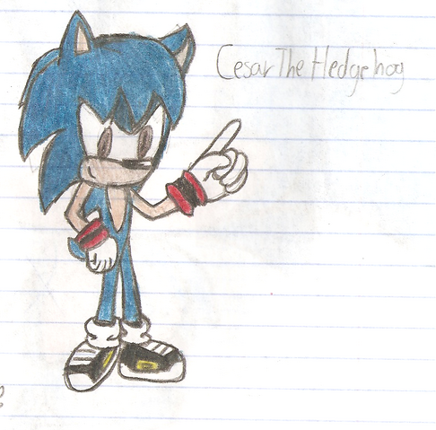 File:Cesar first.png