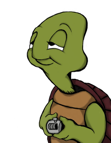 File:Timmy Turtle.png
