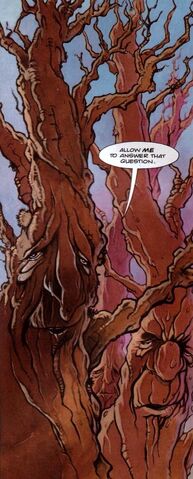 File:STC94-Trees.jpg