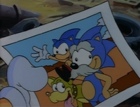 Hedgehog Family photo