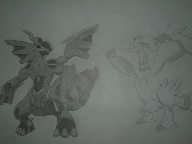 File:Reshiram and zekrom.draw.jpg