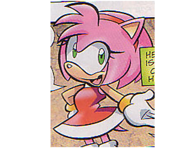 File:20110329121758!Amy Rose.jpg
