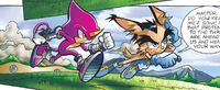 Lightning Lynx and Espio