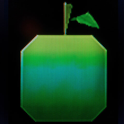 File:Square Fruit.jpg