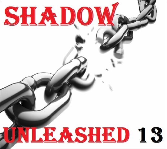 File:Shadow unleashed avi.jpg
