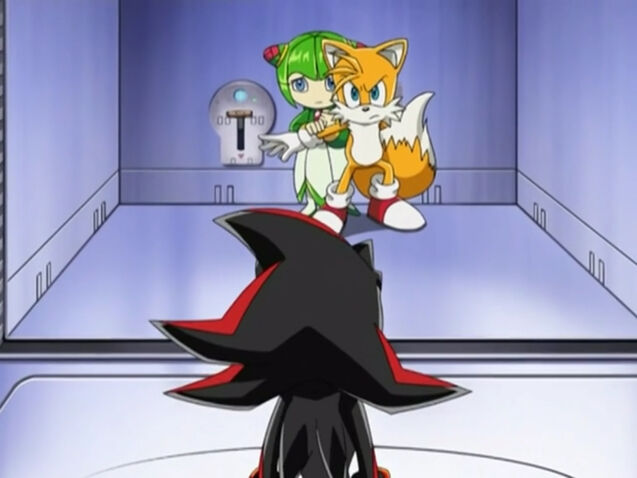 File:AssassinShadow970.jpg