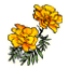 Thumbnail for version as of 17:15, January 7, 2016