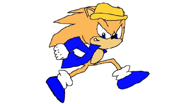 File:Tyler the Hedgehog.jpg