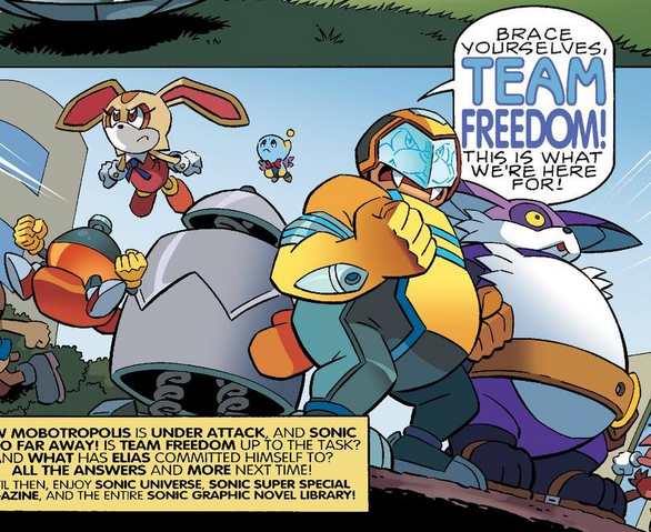 File:Team Freedom-1-.png