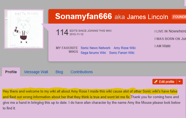 File:BirthofAmyRoseWiki.png