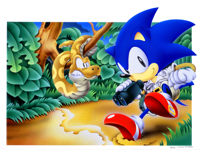 File:SSS SONIC03.png