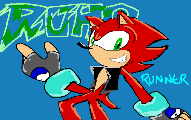 File:Road Runner by 58 to Sonic1515.png