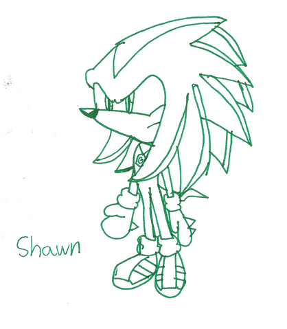 File:Shawn.png