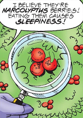 File:Narcolyptus Berries.png