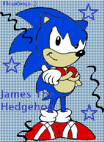 File:James the Hedgehog.png