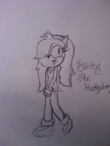 File:Baileythehedgehog stp.jpg