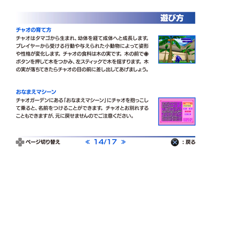 File:SonicAdventureDX2011 PS3Manual14.png