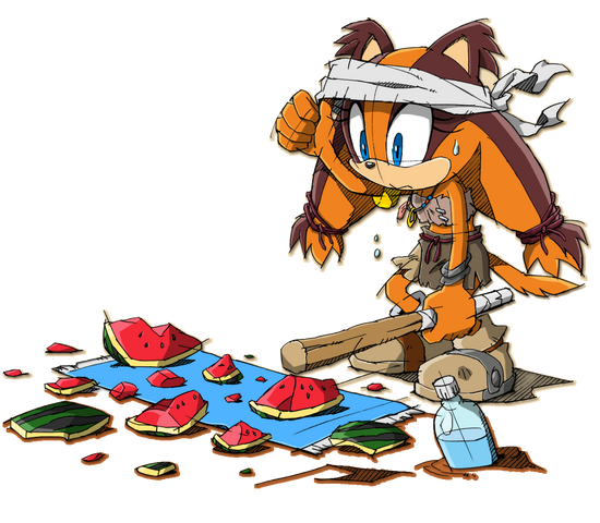 File:Sticks Sonic Channel 2.png