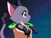 Ryou's Cat Form