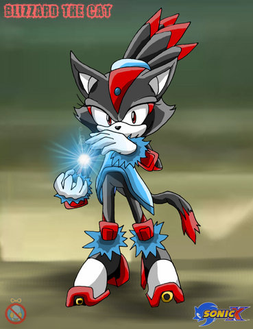 File:Cm blizzard the cat sonic x shadow version by shadowhatesomochao-d54shx6.png