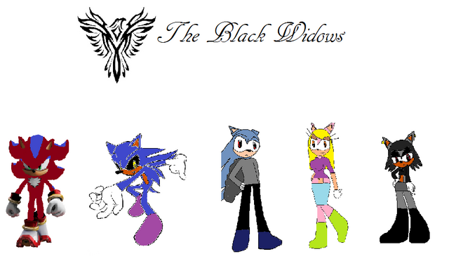 File:The Black Widows team.png