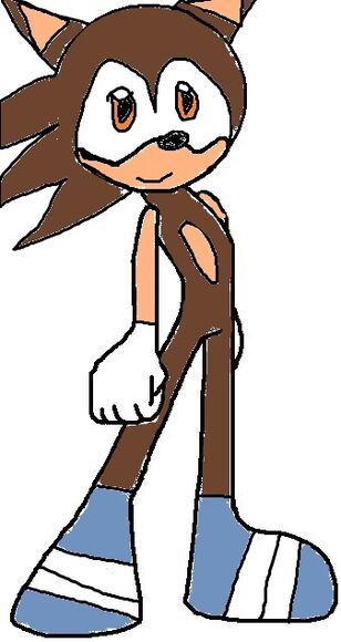 Simon the Hedgehog