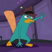 Perry 3