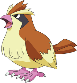Pidgey AG anime