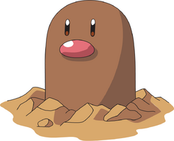 Diglett AG anime