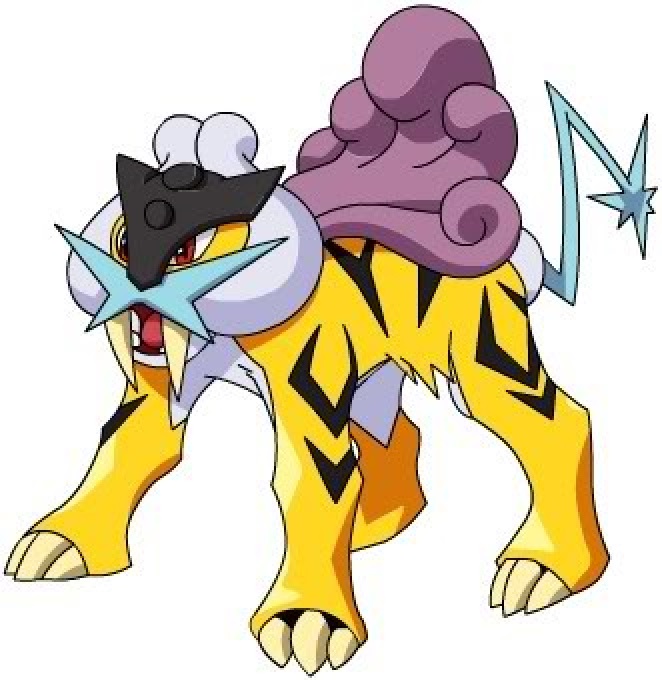 Pokemon Go Jolteon Dog Or Cat Pokemon Go Jolteon Dog Or Cat