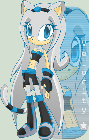 File:Velocity by v 16.png
