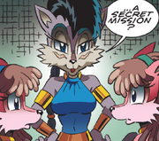 IMG 1894.png