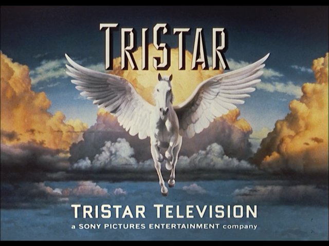 File:TriStar Television 1995.png