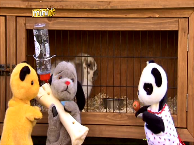 File:RunRabbitRun1.png