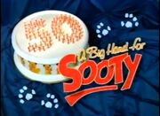 ABigHandforSooty