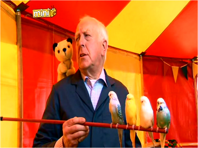 File:Who'saCleverBird?6.png